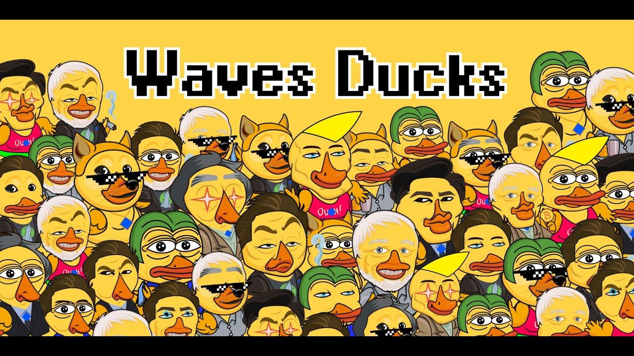 Waves Ducks